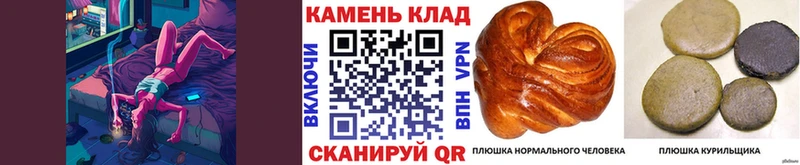 Купить где  Чегем  ГАШИШ гарик 