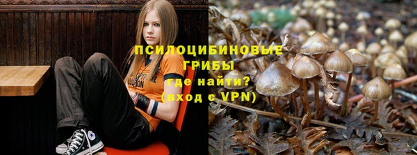 прущий лед Пестово