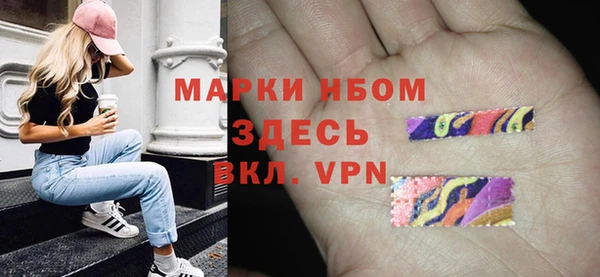 прущий лед Пестово