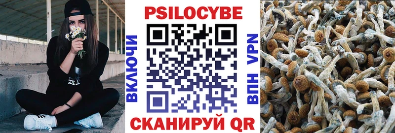 Галлюциногенные грибы ЛСД Чегем