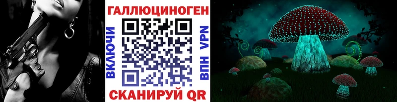 Купить закладки  Чегем  Псилоцибиновые грибы мухоморы 