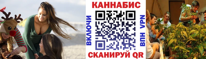 Каннабис White Widow  Купить где  Чегем 